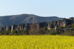 P1120051