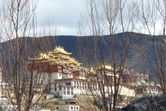 P1120416